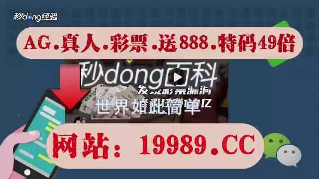 2024今晚澳门开奖结果查询|精选解释解析落实